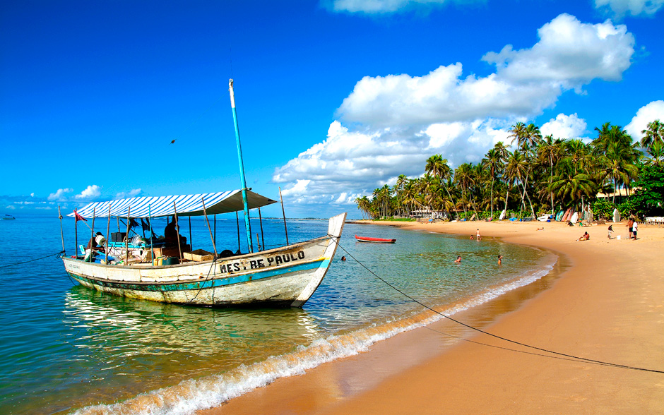 Passeio Praia do Forte e Guarajuba