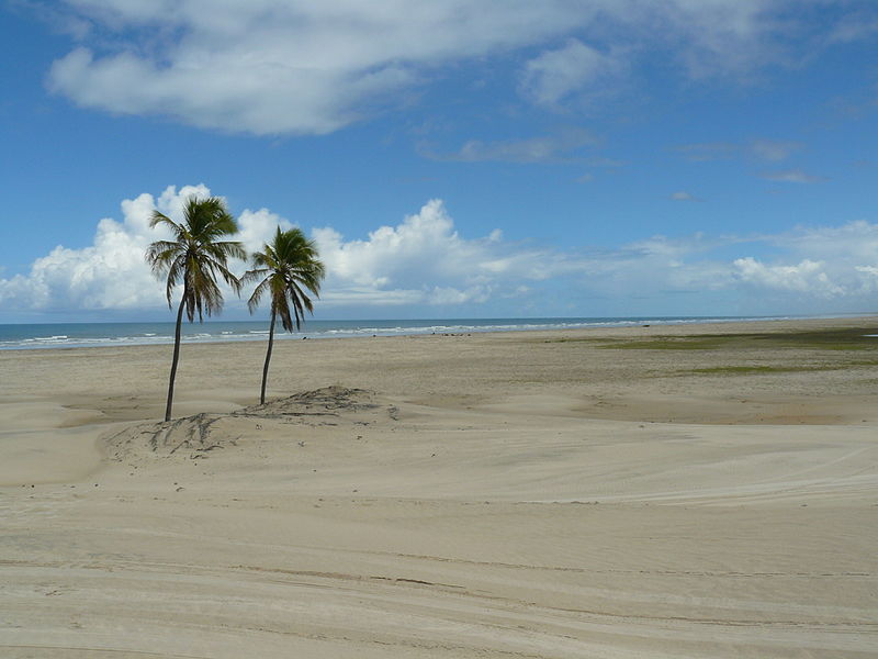 como chegar em mangue seco