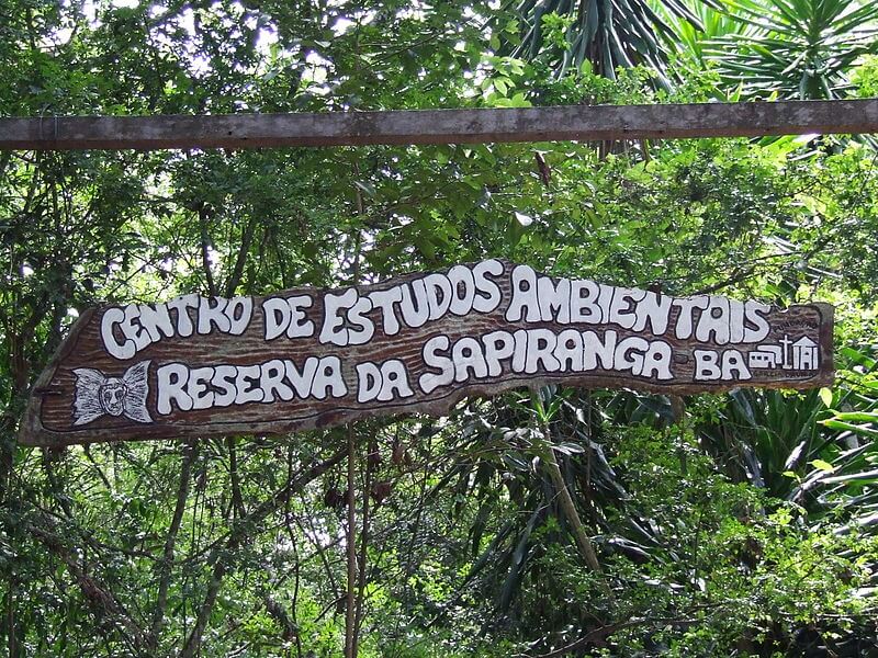 o que fazer na praia do forte 
