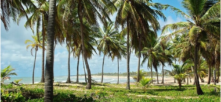 O que fazer em costa do sauípe