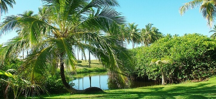 Você Sabe onde fica Costa do Sauípe e o que fazer por lá?