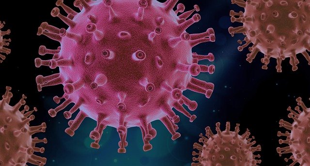 Coronavírus na Bahia:  Medidas de Prevenção e Impactos