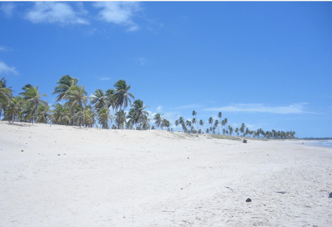 Praia de Santo Antônio: Guia Rápido